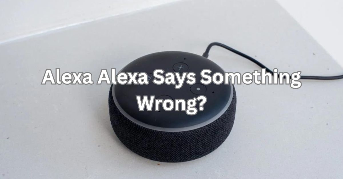 Illustration of an Amazon Echo device displaying an error message on its screen, with the text 'Alexa Says Something Went Wrong'